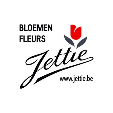 Jettie